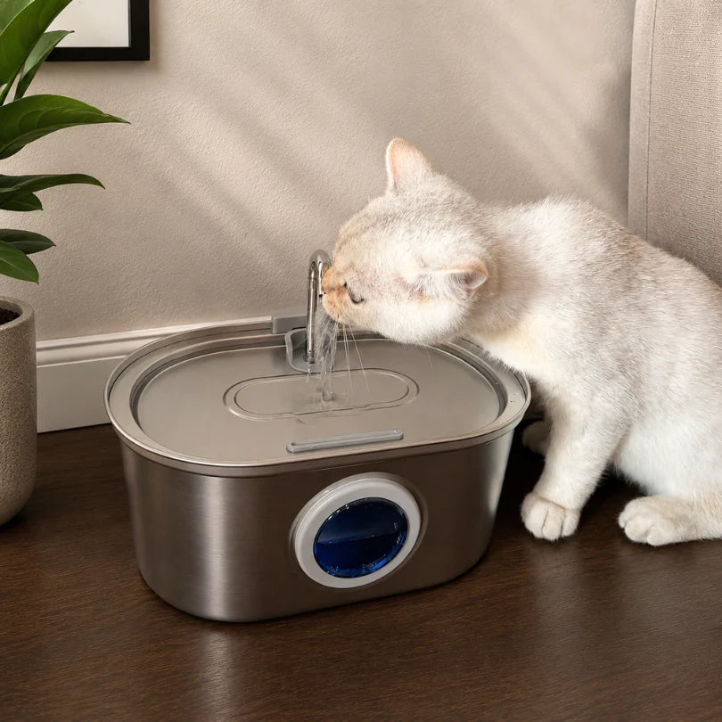 PurFlow™ — La Fontaine Inox Silencieuse qui Donne Envie de Boire (3,2L)
