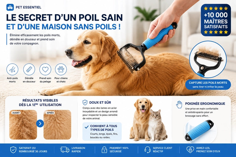 https://cdn.dropmagic.ai/medias/fc775416-dfd5-48da-acbc-a9aae3d5381c.webp